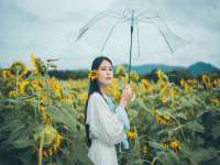 苏州英莱隔热材料有限公司