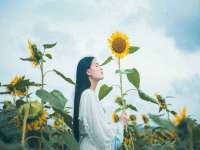 苏州英莱隔热材料有限公司