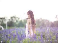 苏州英莱隔热材料有限公司