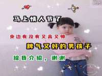 苏州英莱隔热材料有限公司