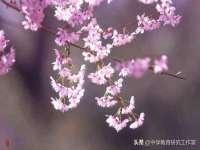 苏州英莱隔热材料有限公司
