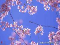 苏州英莱隔热材料有限公司