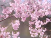 苏州英莱隔热材料有限公司