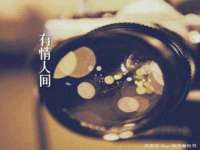 苏州英莱隔热材料有限公司