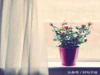 苏州英莱隔热材料有限公司