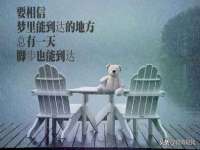 苏州英莱隔热材料有限公司