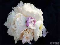 苏州英莱隔热材料有限公司