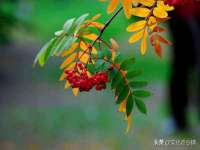 苏州英莱隔热材料有限公司