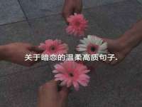 苏州英莱隔热材料有限公司