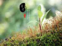 苏州英莱隔热材料有限公司