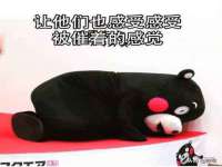 苏州英莱隔热材料有限公司