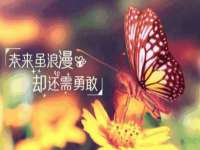 苏州英莱隔热材料有限公司