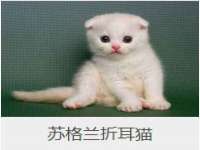 苏州英莱隔热材料有限公司
