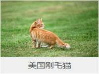苏州英莱隔热材料有限公司