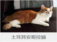 苏州英莱隔热材料有限公司