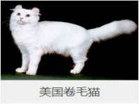 苏州英莱隔热材料有限公司
