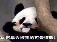 苏州英莱隔热材料有限公司