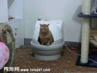 苏州英莱隔热材料有限公司