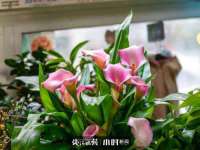 苏州英莱隔热材料有限公司