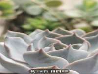 苏州英莱隔热材料有限公司