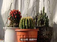 苏州英莱隔热材料有限公司