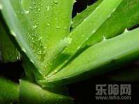 苏州英莱隔热材料有限公司
