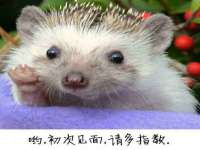 苏州英莱隔热材料有限公司