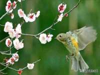 苏州英莱隔热材料有限公司