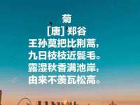 苏州英莱隔热材料有限公司