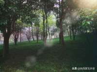 苏州英莱隔热材料有限公司