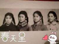 苏州英莱隔热材料有限公司