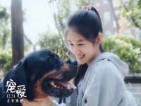 苏州英莱隔热材料有限公司
