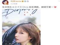 苏州英莱隔热材料有限公司