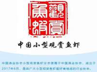 苏州英莱隔热材料有限公司