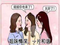 苏州英莱隔热材料有限公司
