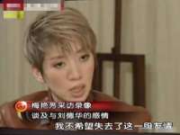 苏州英莱隔热材料有限公司