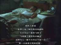 苏州英莱隔热材料有限公司