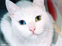 苏州英莱隔热材料有限公司