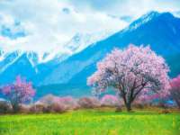 苏州英莱隔热材料有限公司