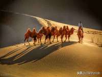 苏州英莱隔热材料有限公司