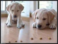 苏州英莱隔热材料有限公司