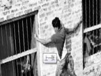 苏州英莱隔热材料有限公司