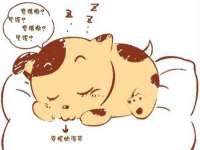 苏州英莱隔热材料有限公司