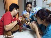 苏州英莱隔热材料有限公司