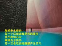 苏州英莱隔热材料有限公司