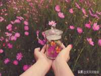 苏州英莱隔热材料有限公司