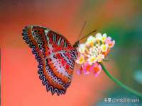 苏州英莱隔热材料有限公司