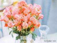 苏州英莱隔热材料有限公司