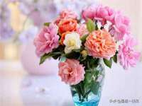苏州英莱隔热材料有限公司