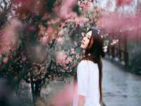 苏州英莱隔热材料有限公司